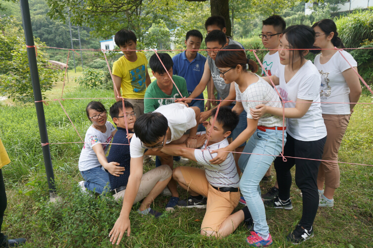 点击查看大图